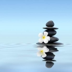 Meet your Posher, Janet